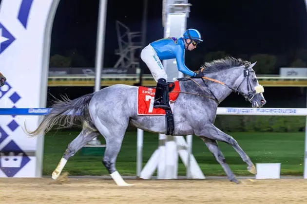 Дагестанский жеребец стал победителем международных скачек в Дубае