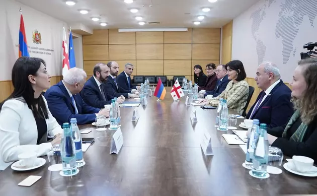 встреча Арарата Мирзояна и Маки Бочоришвили