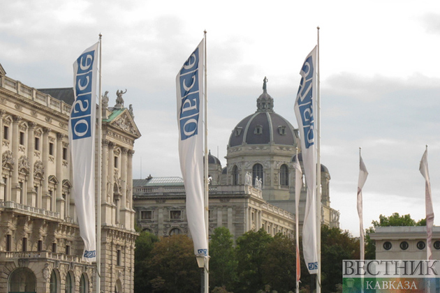 Новый председатель ОБСЕ намерен посетить Москву, Киев и Тбилиси