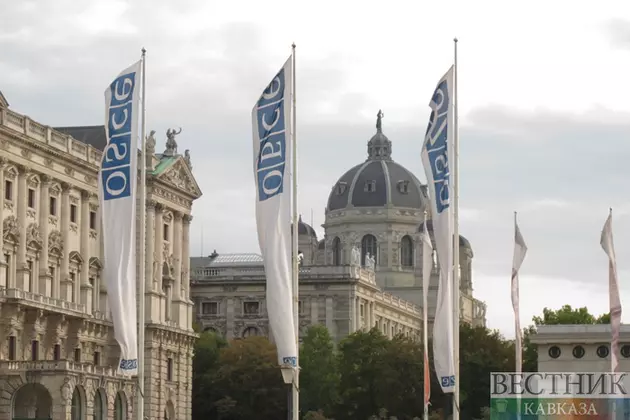 Новый председатель ОБСЕ намерен посетить Москву, Киев и Тбилиси