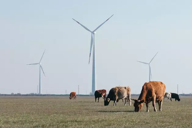 Энергия с Новолакской ВЭС начала поступать в единую сеть России – Росатом