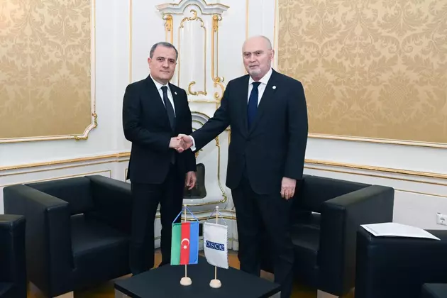 Глава МИД Азербайджана встретился с генеральным секретарем ОБСЕ