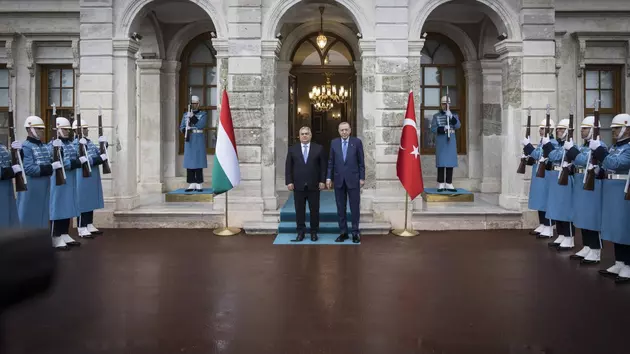 Орбан-Путин-Эрдоган: газ и поиски мира на Украине