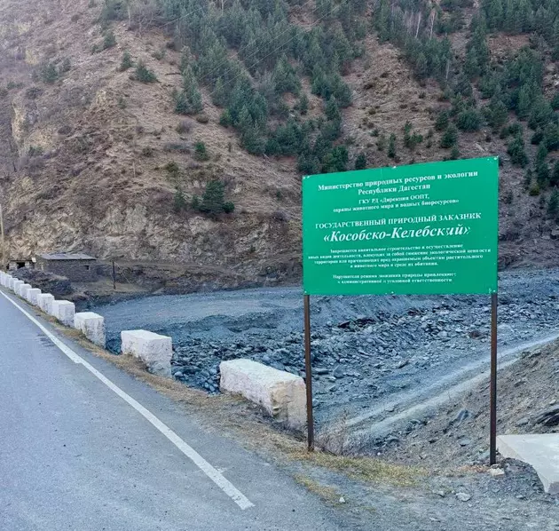 Крупный пожар в заказнике опровергли в Дагестане