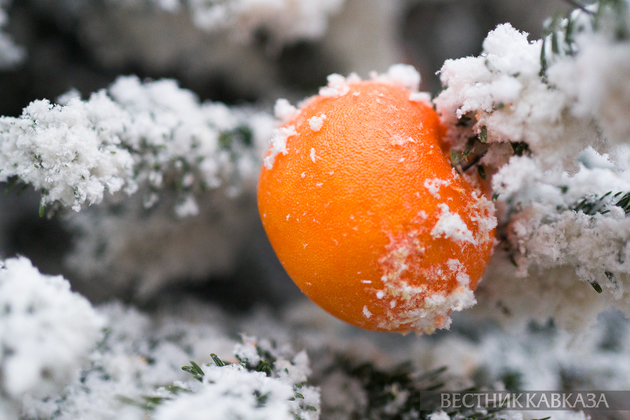 Украшения мандаринами на Арбате