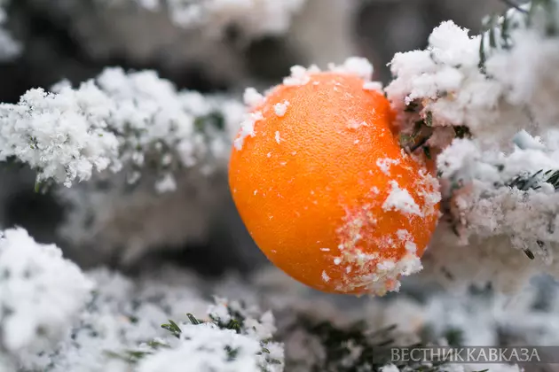 Украшения мандаринами на Арбате