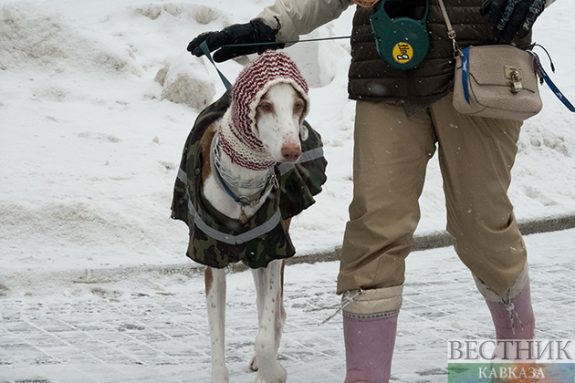 Почему белый стал цветом 2026 года?