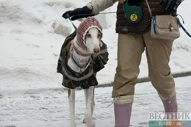 Почему белый стал цветом 2026 года?