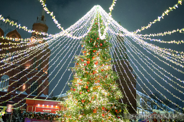 В Грузии стали больше контролировать вырубку елей