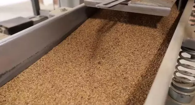 В Казахстане впервые попробуют российский суперфуд