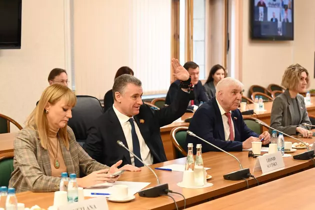 Депутаты Госдумы встретились с депутатами Европарламента