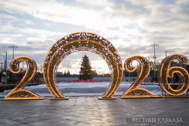 Новогодние украшения парка Горького