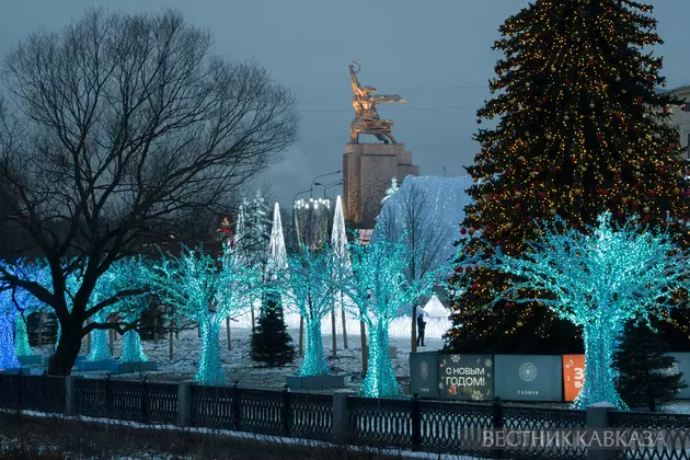 Новогодние украшения у Ростокинского акведука