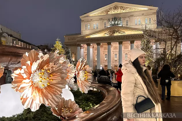 Новогодние украшения на Театральной площади