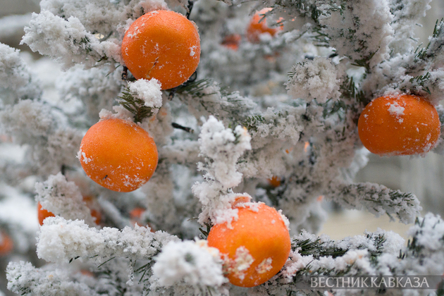 Украшения мандаринами на Арбате
