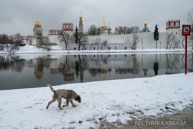 Новодевичий монастырь в Москве