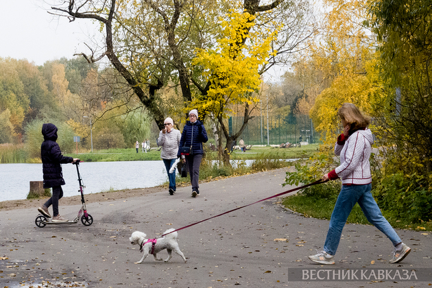 Осень в парке Покровское-Стрешнево
