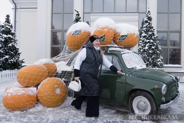 Рязань - новогодняя столица России