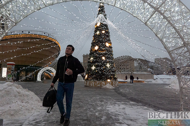 В Минстрое России назвали победителей конкурса "Елки России"