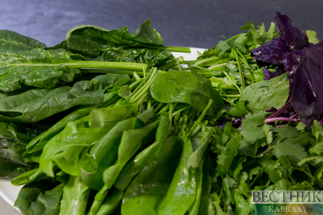 Фестиваль черемши планируют провести в Чечне в феврале