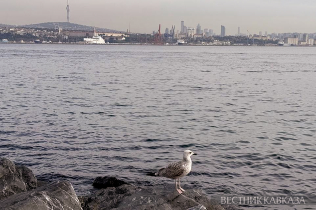 Вид на Босфор