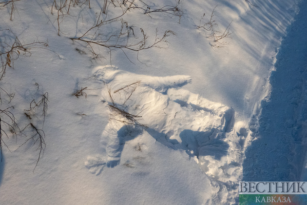 След на снегу