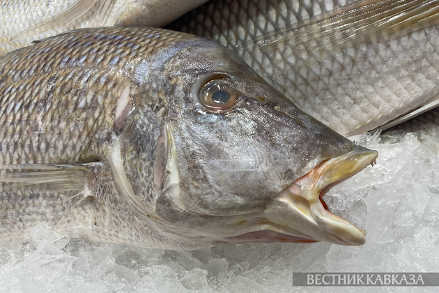 Рыба на льду