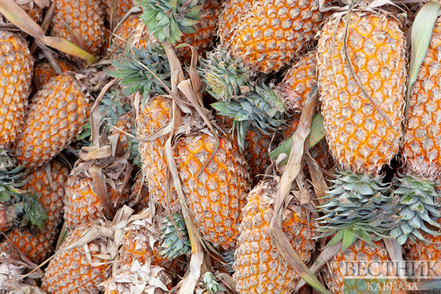 В Абхазии стали выращивать бананы и ананасы