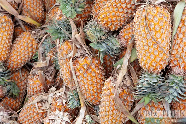 В Абхазии стали выращивать бананы и ананасы