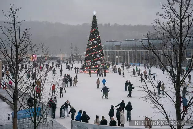 Каток в Лужниках