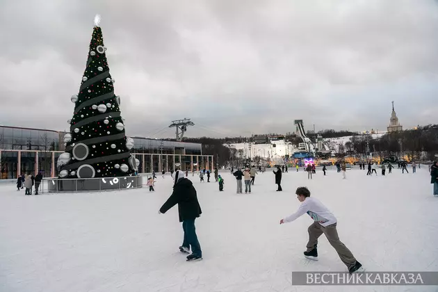 Каток в Лужниках