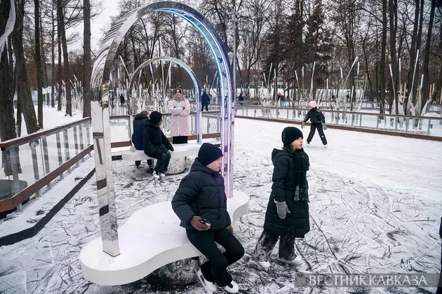 Каток в Лужниках