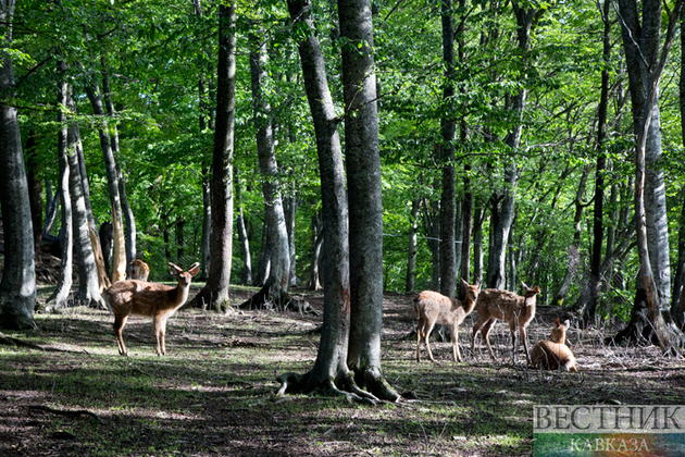 В Северной Осетии назвали число посетивших заповедники туристов