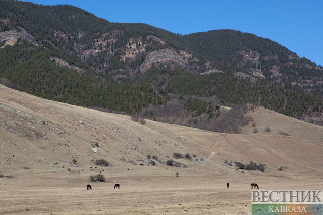 Тайна курганов у Архыза раскрыта: археологи нашли древнее святилище