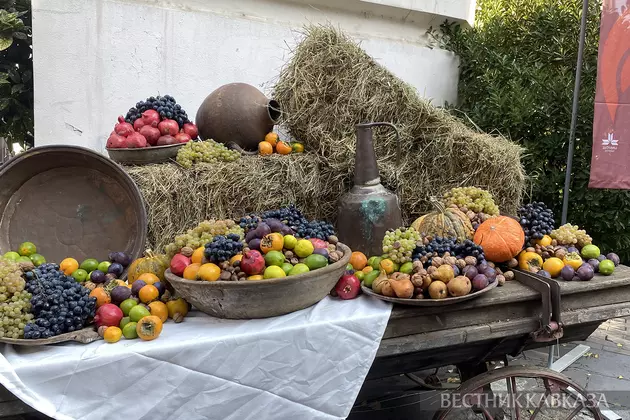 Объем сельхозпроизводства на Северном Кавказе превысил 952 млрд рублей в 2025 году