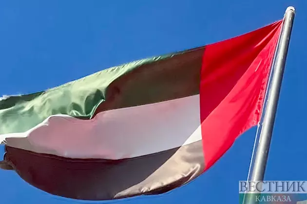 Визит Эрдогана в ОАЭ отложен из-за болезни Аль Нахайяна