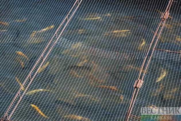 Северная Осетия продолжит развитие агротуризма