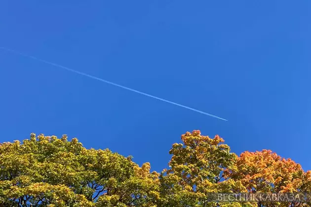 Самолет в небе