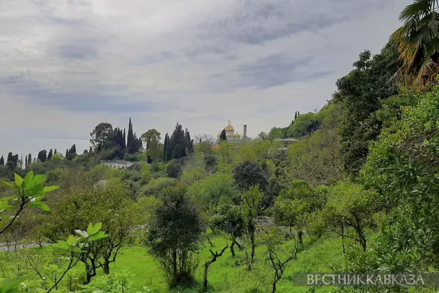 Заповедников в Абхазии может стать больше