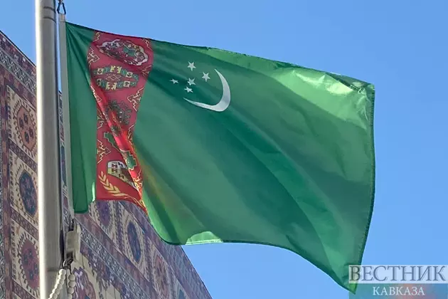 Связи в политике и экономике обсудили Тбилиси и Ашхабад