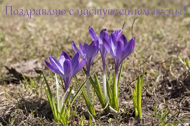 Открытка с началом весны