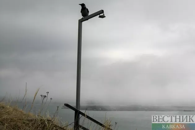 Почему воюют Афганистан и Пакистан: кто сильнее, причины конфликта и что будет дальше?