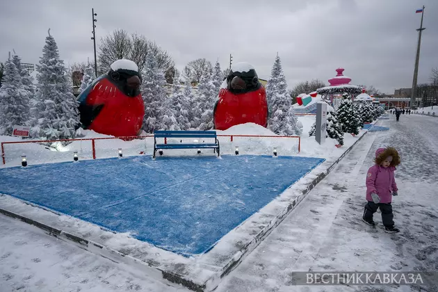 Новогодние украшения