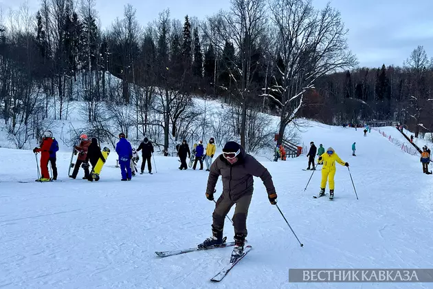Лыжники в Степаново