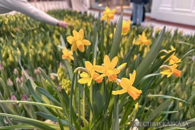 Продажа цветов в Петровском пассаже