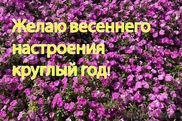 Открытка с 8 марта