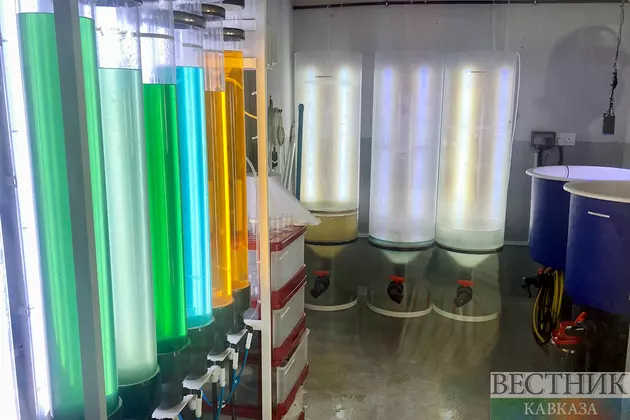 Химическая лаборатория