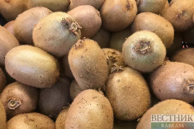 Азербайджан поможет предотвратить дефицит экзотических фруктов в России