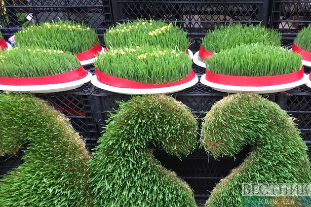 Праздник Новруз может стать государственным в Турции