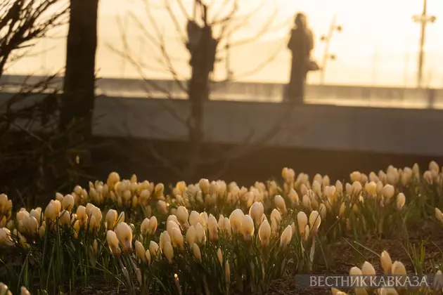 Закат в парке Зарядье в Москве